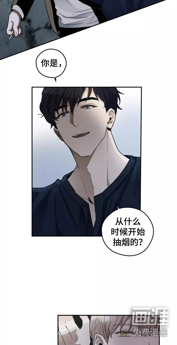 第7章：导演大人