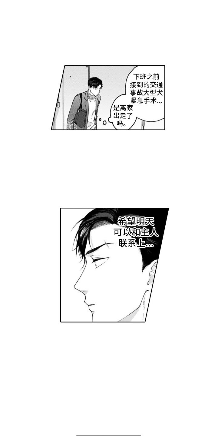 第1章：捡回家