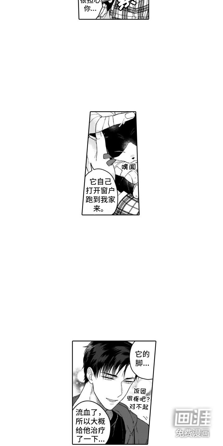 第13章：没法讨厌