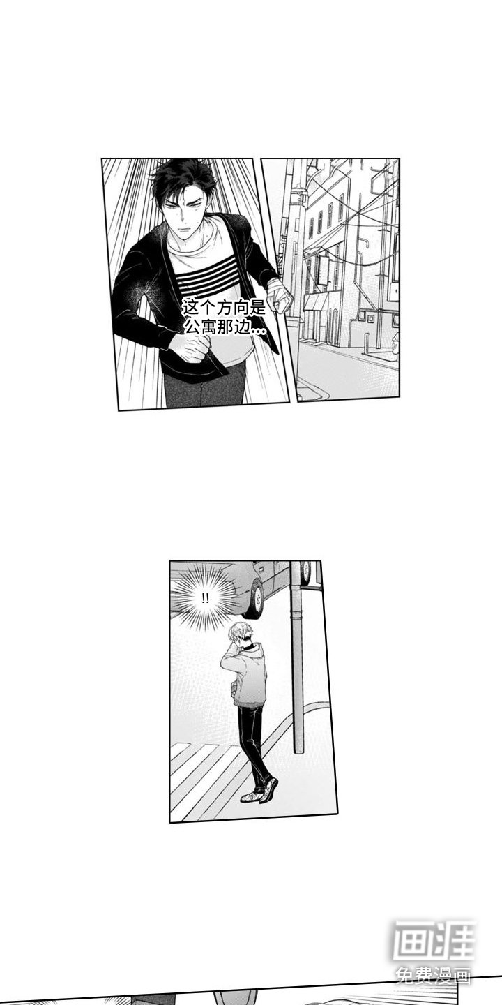 第15章：解释
