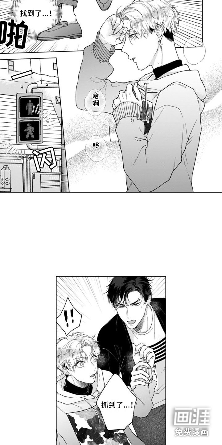 第15章：解释