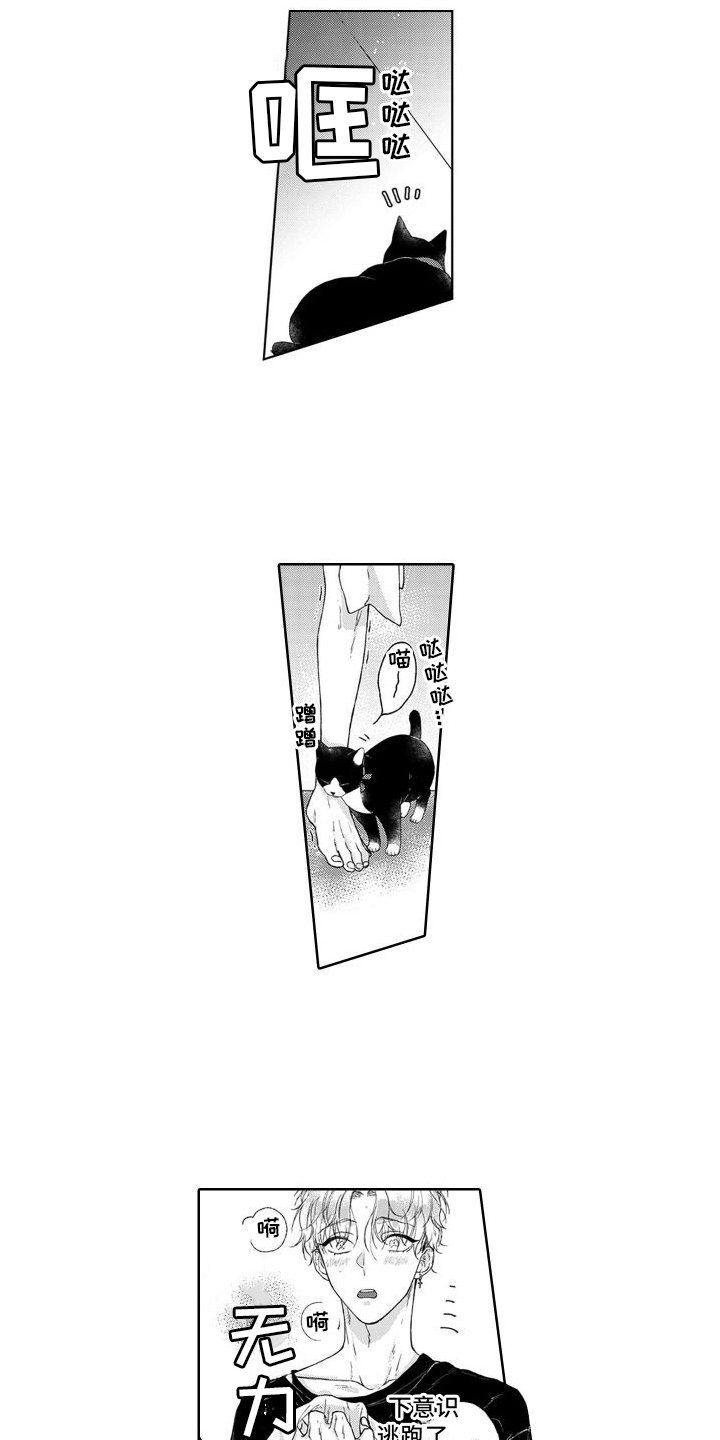 第3章：不是梦