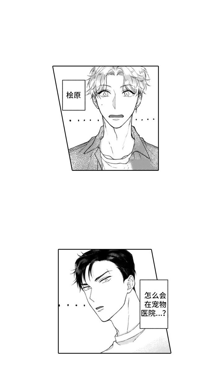 第3章：不是梦