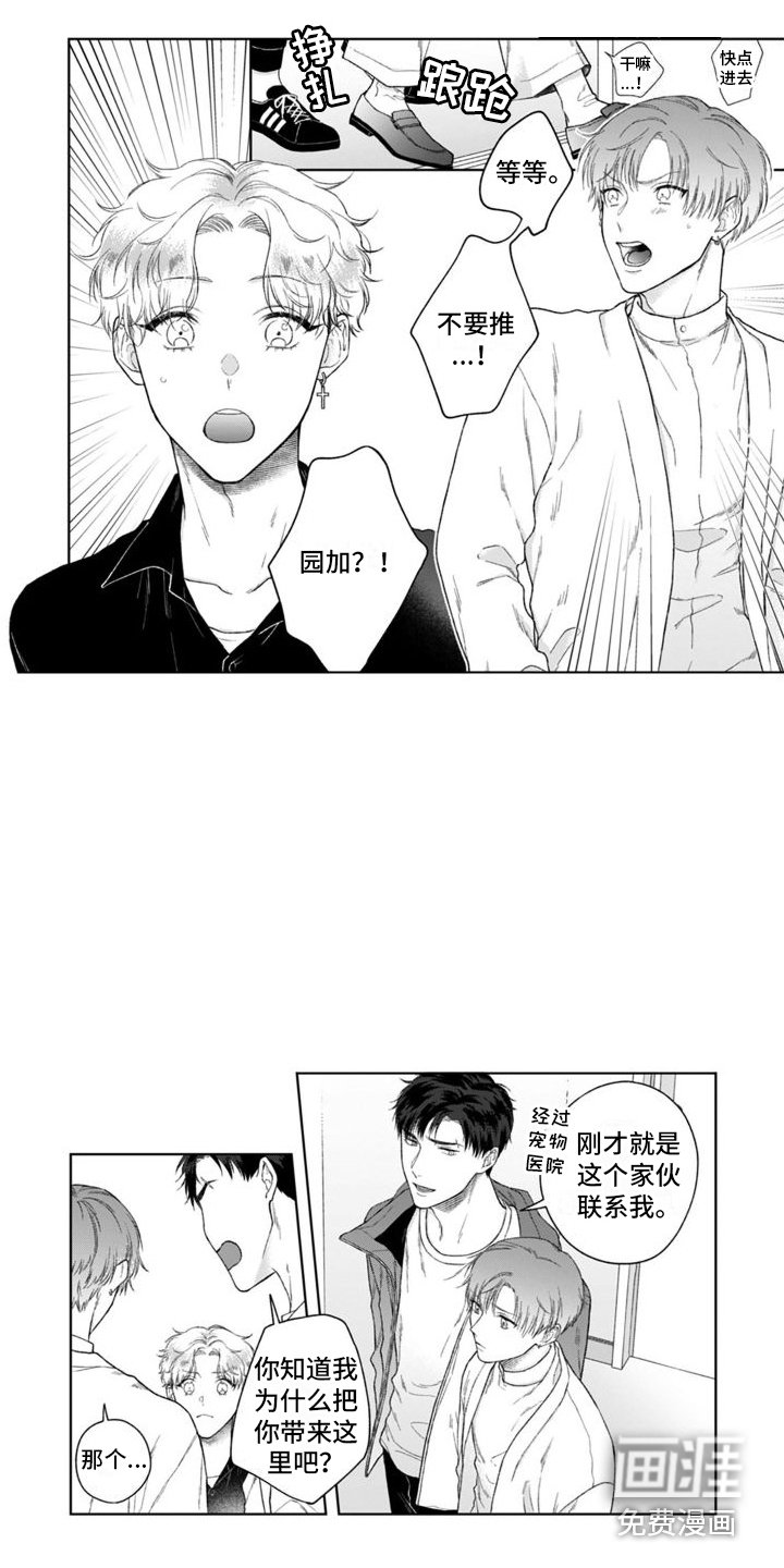 第33章：获胜的表情 