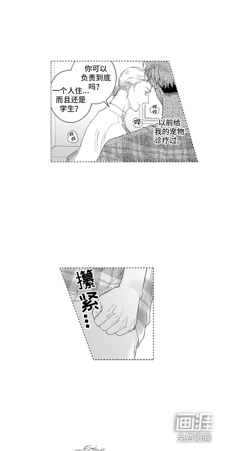 第37章：坦白