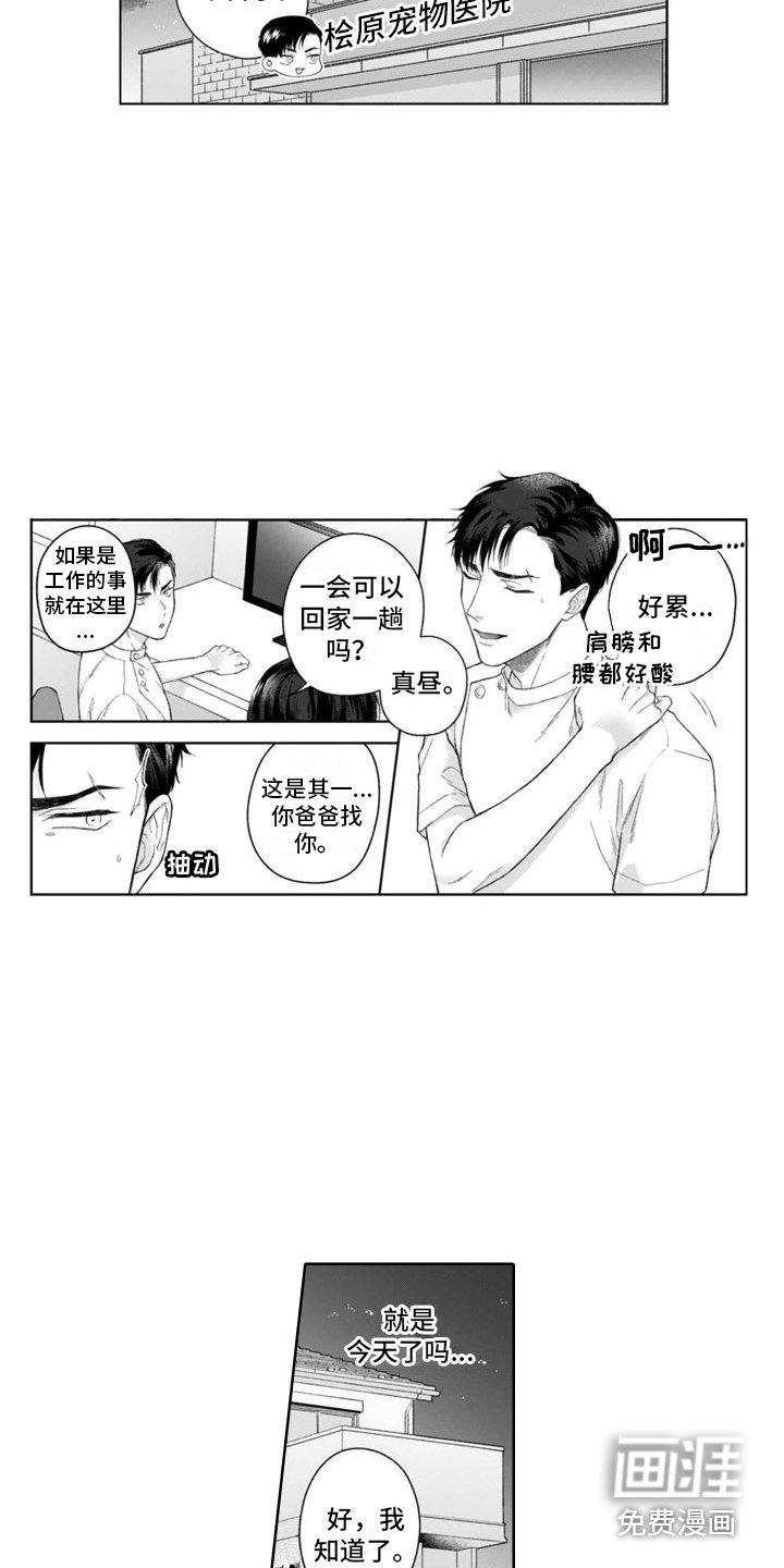 第37章：坦白