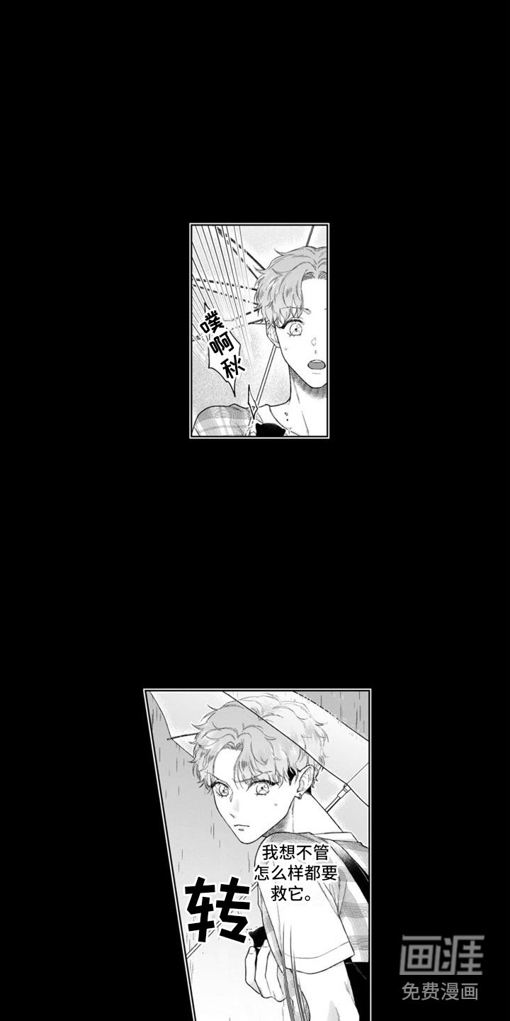 第39章：并不简单