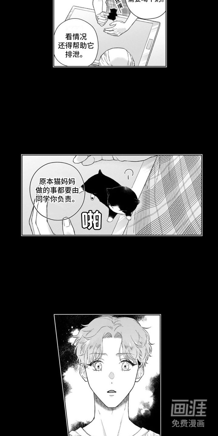 第40章：付出努力