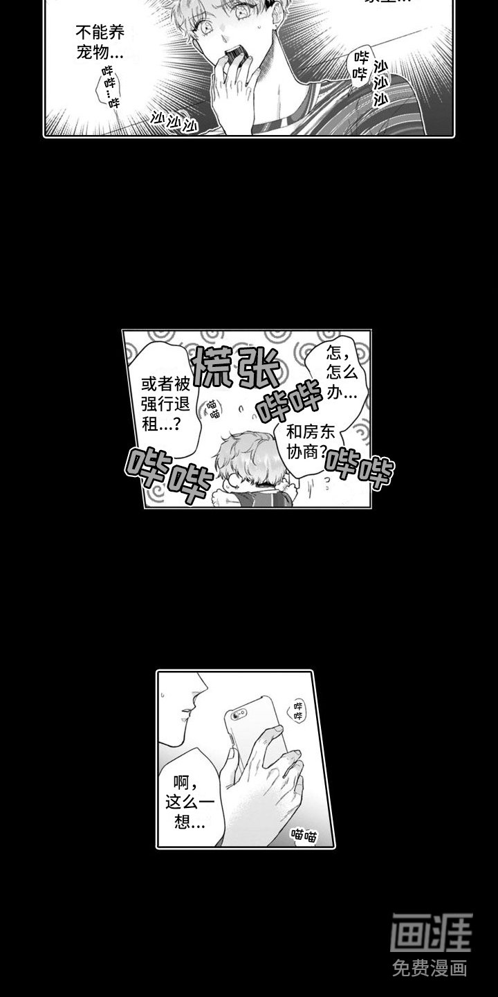 第40章：付出努力