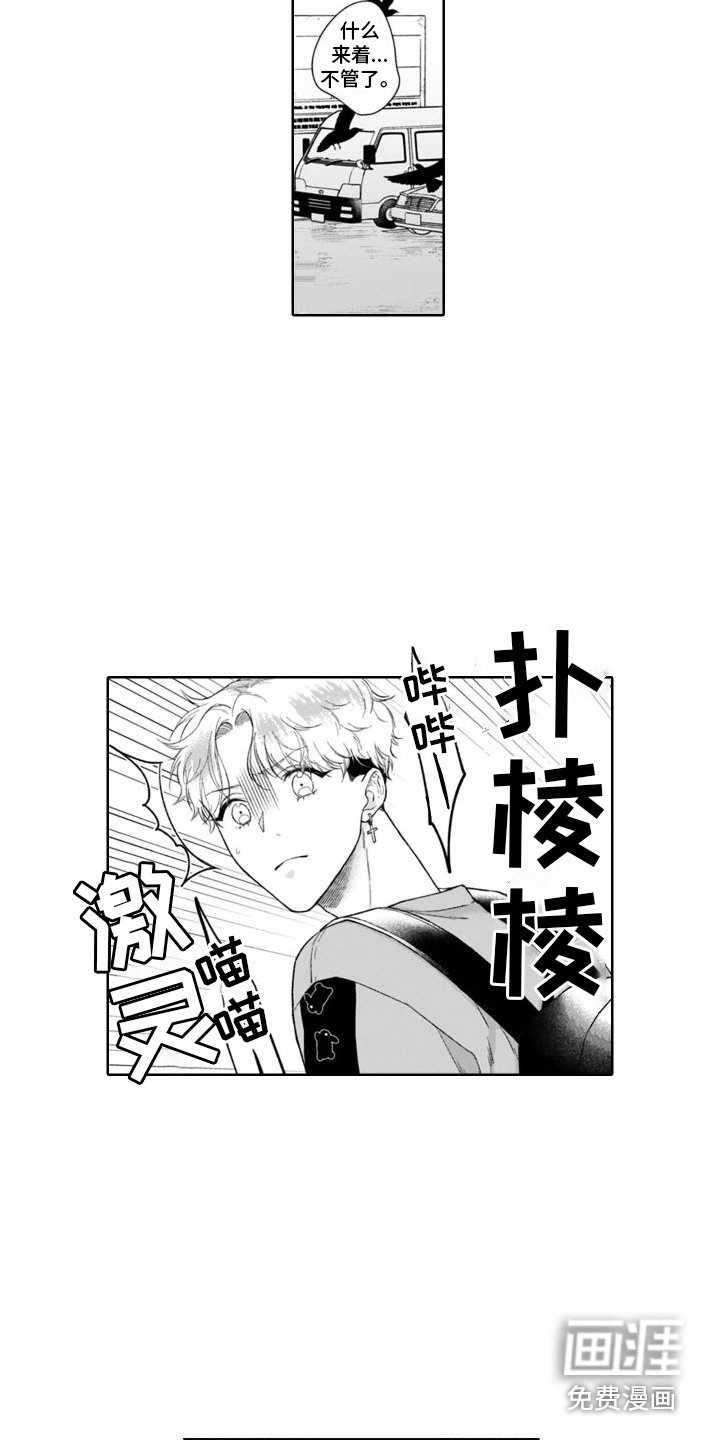 第41章：猫崽子
