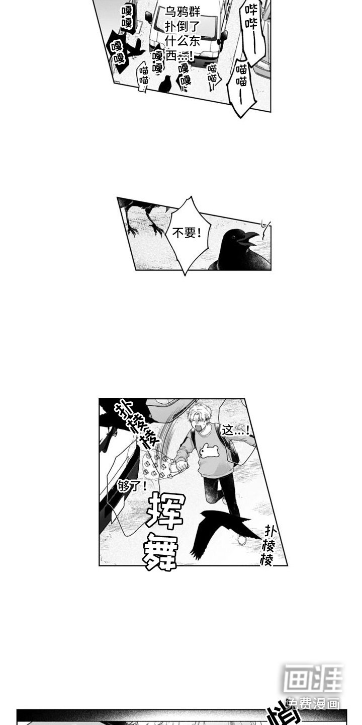 第41章：猫崽子