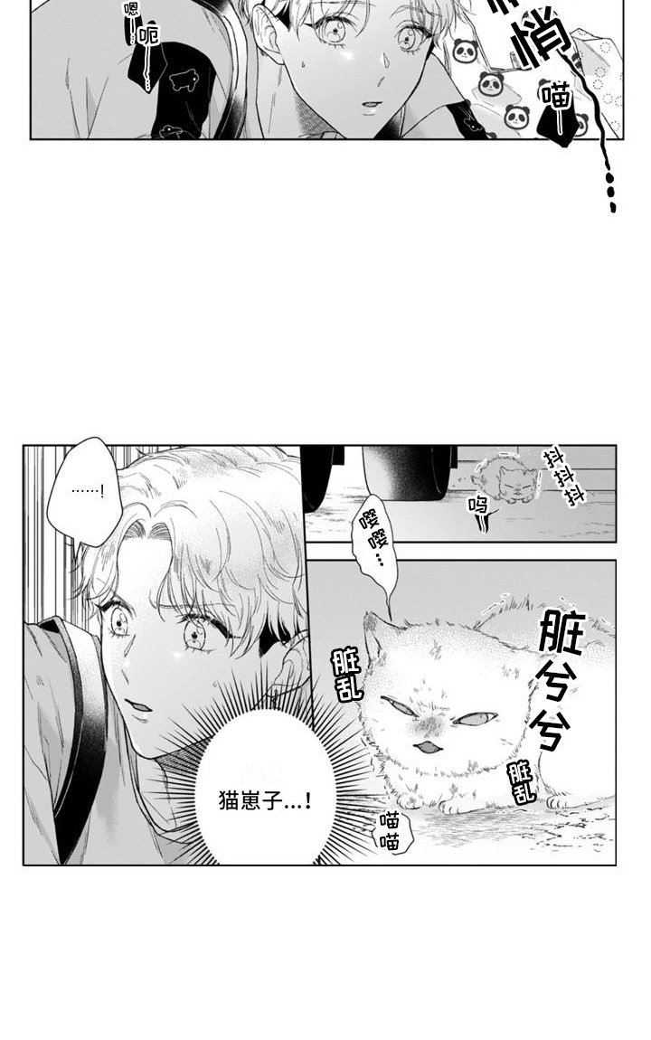 第41章：猫崽子