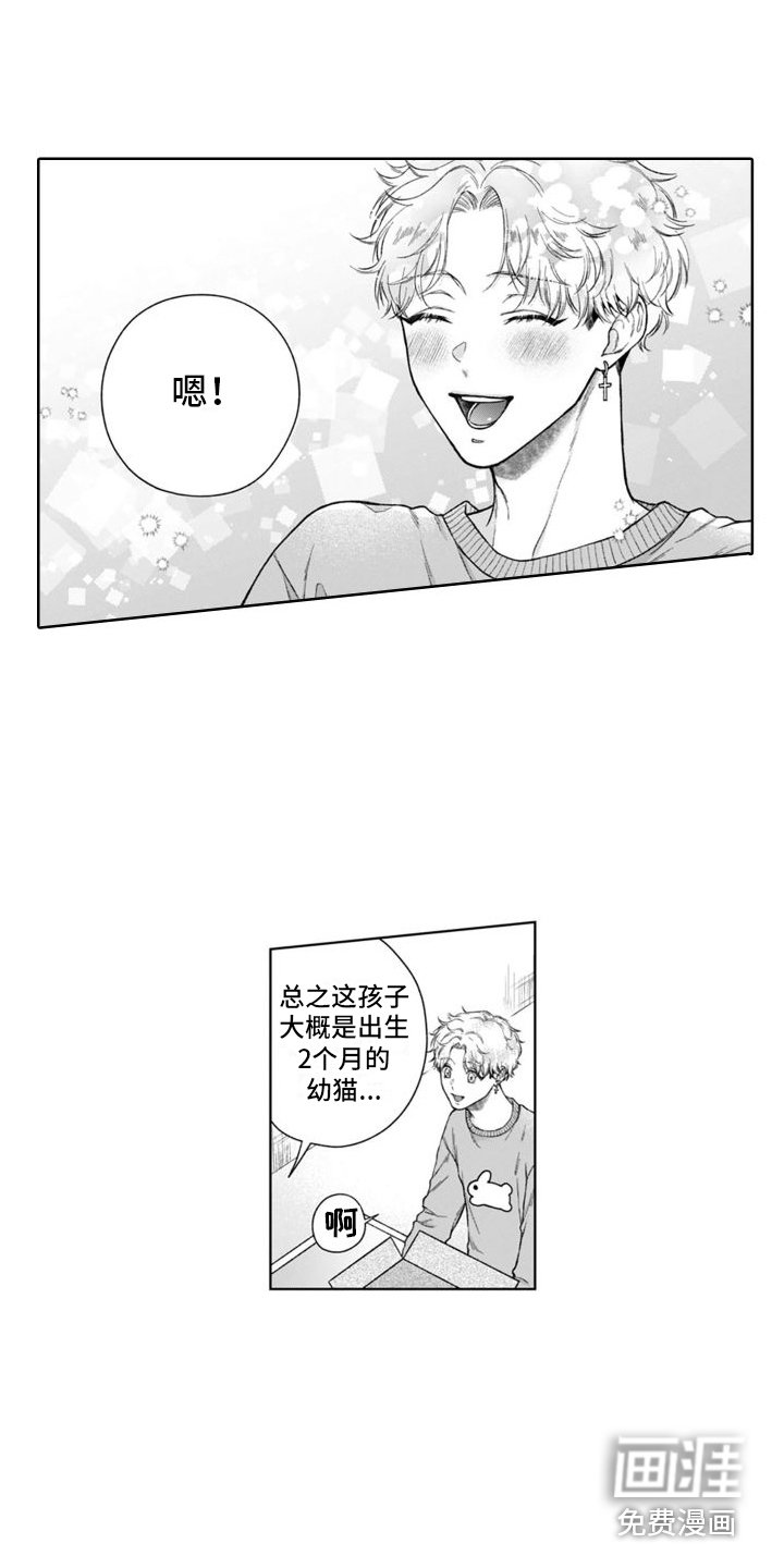 第43章：很像