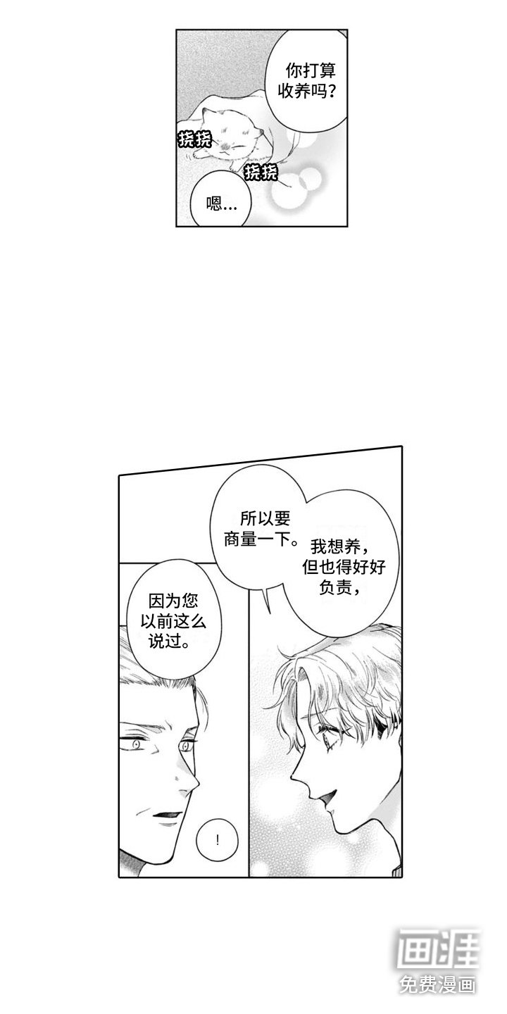 第43章：很像