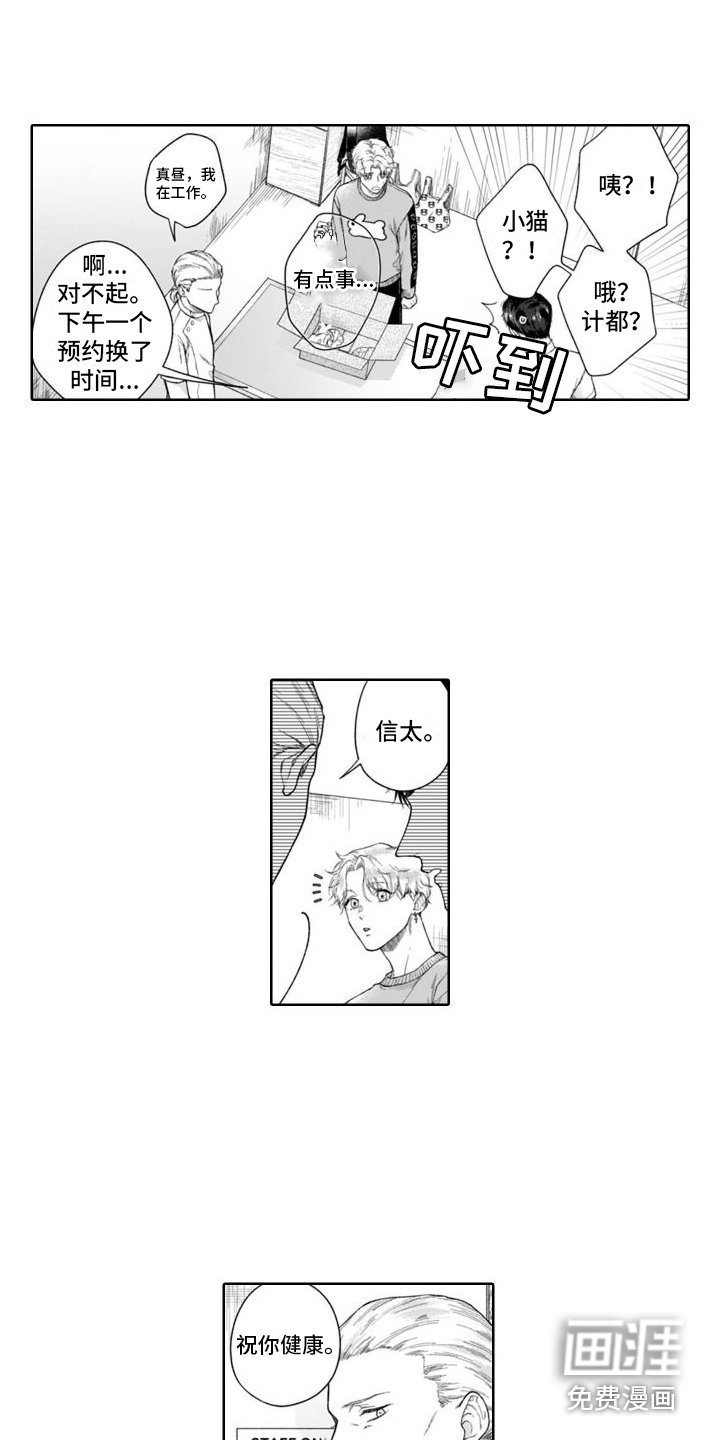 第43章：很像