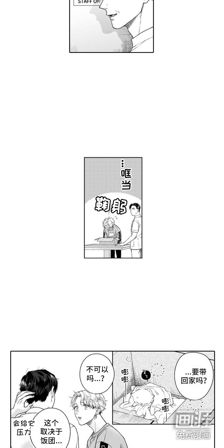 第43章：很像
