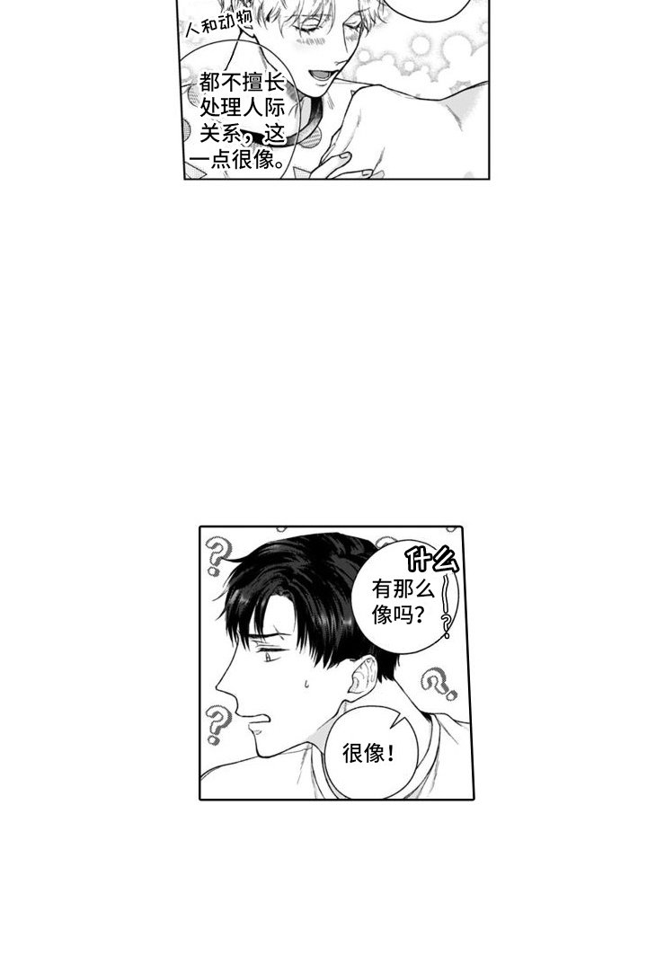 第43章：很像