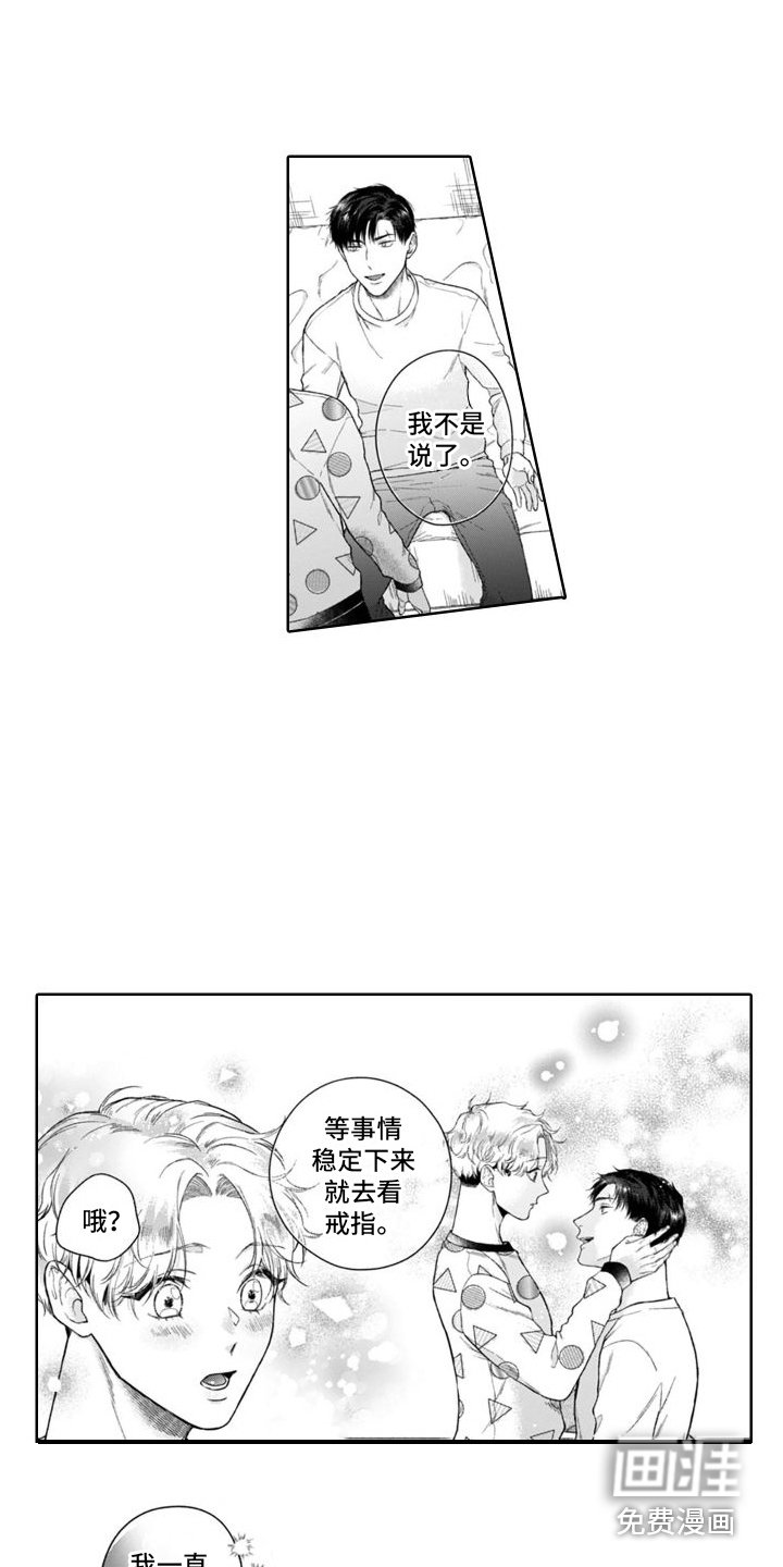 第44章：麻烦的猫咪（完结） 