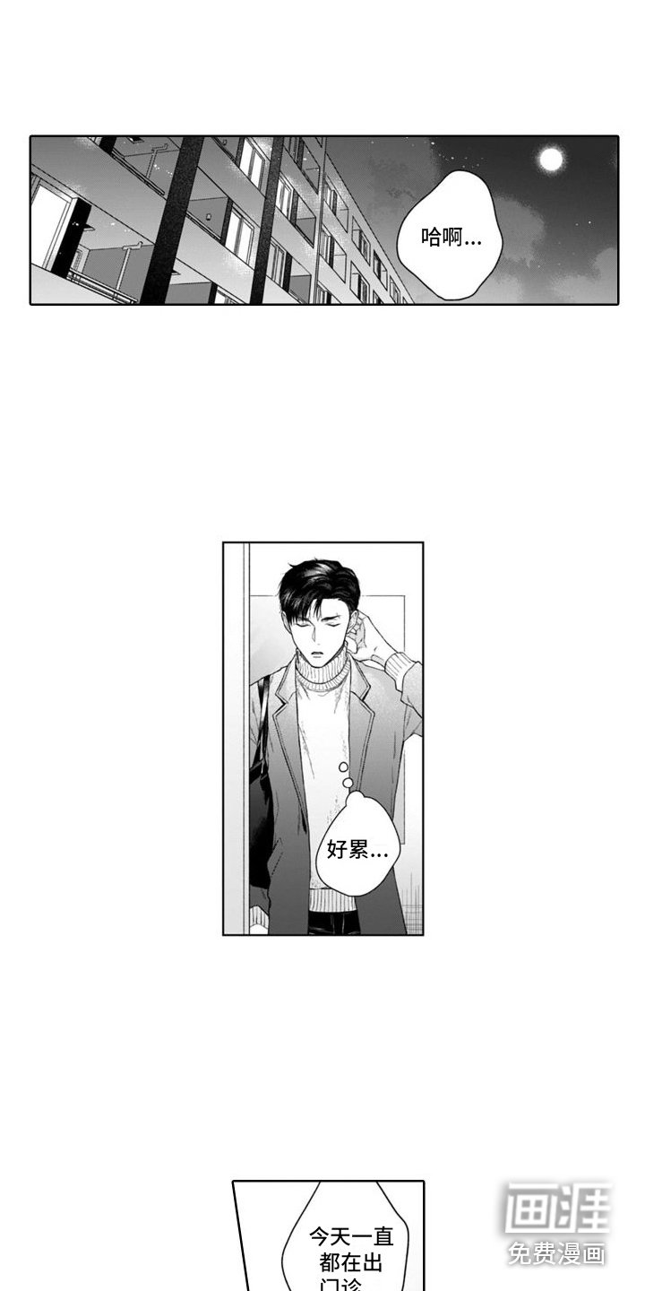 第44章：麻烦的猫咪（完结） 