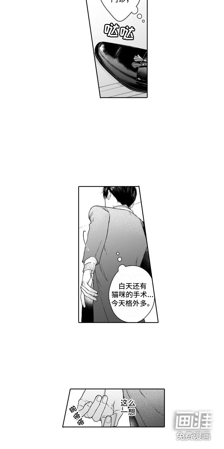 第44章：麻烦的猫咪（完结） 