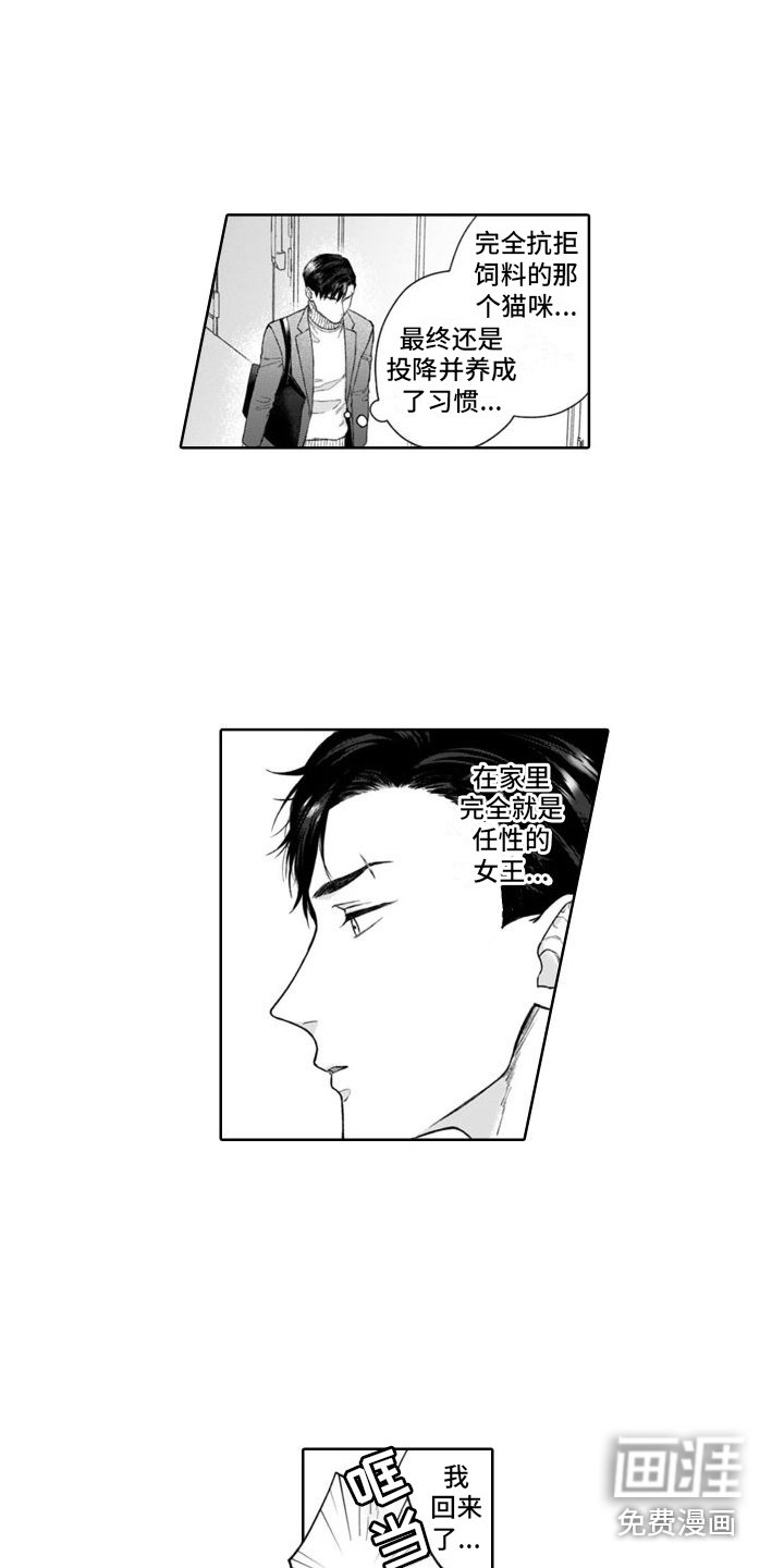 第44章：麻烦的猫咪（完结） 