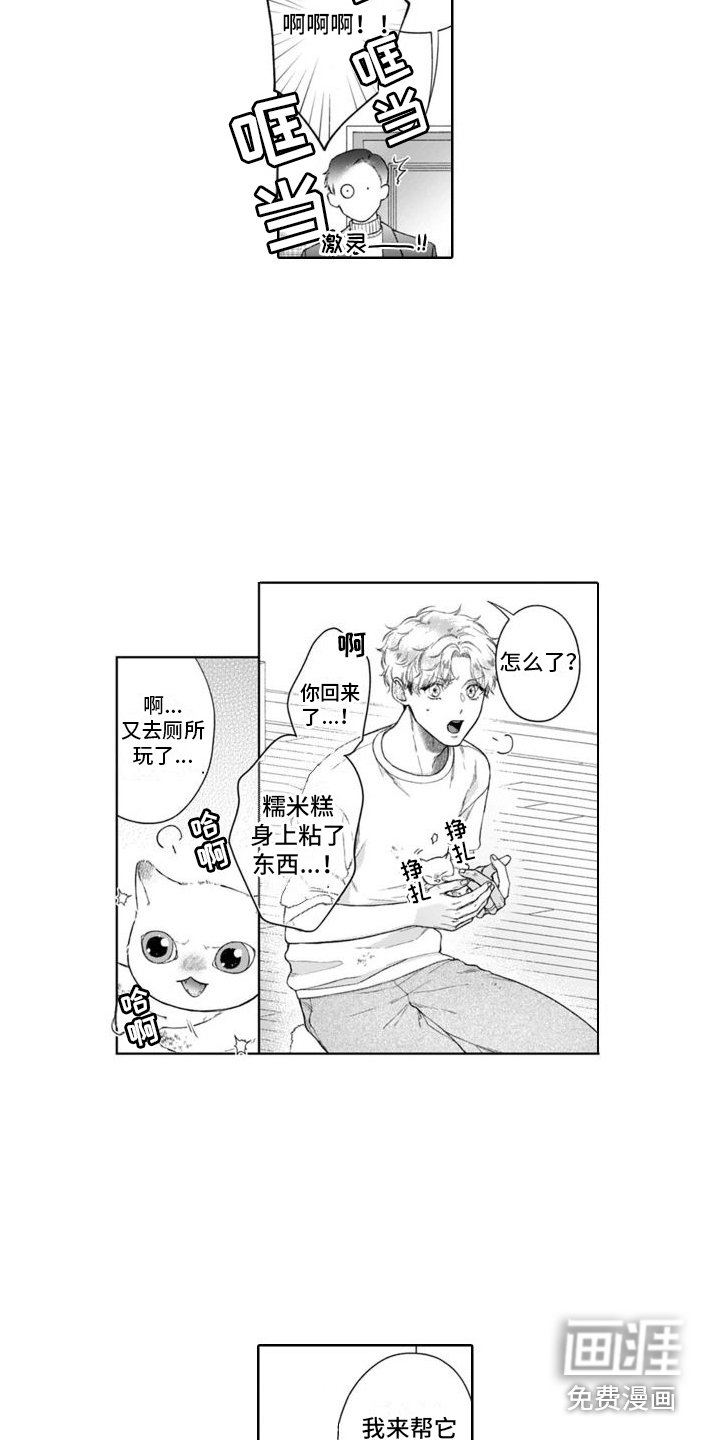 第44章：麻烦的猫咪（完结） 