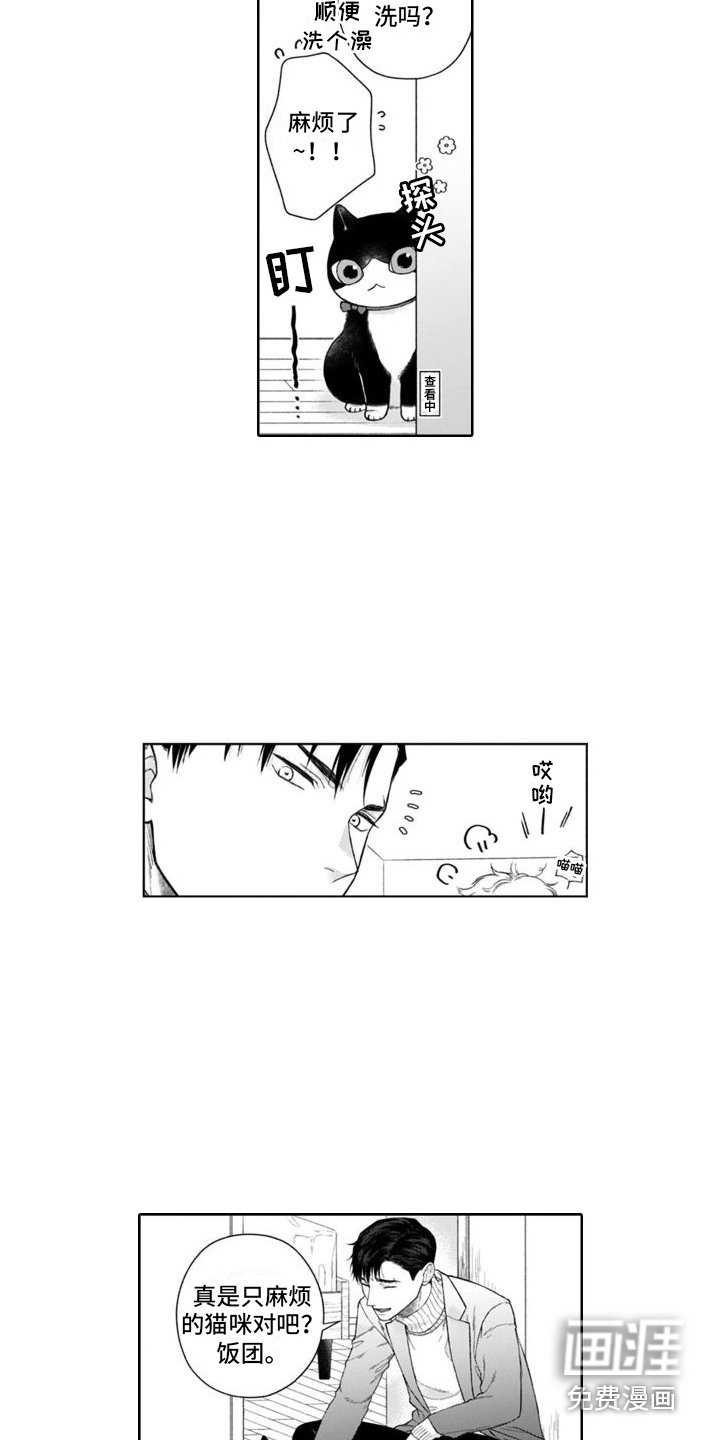 第44章：麻烦的猫咪（完结） 