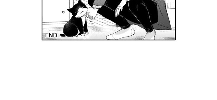 第44章：麻烦的猫咪（完结） 