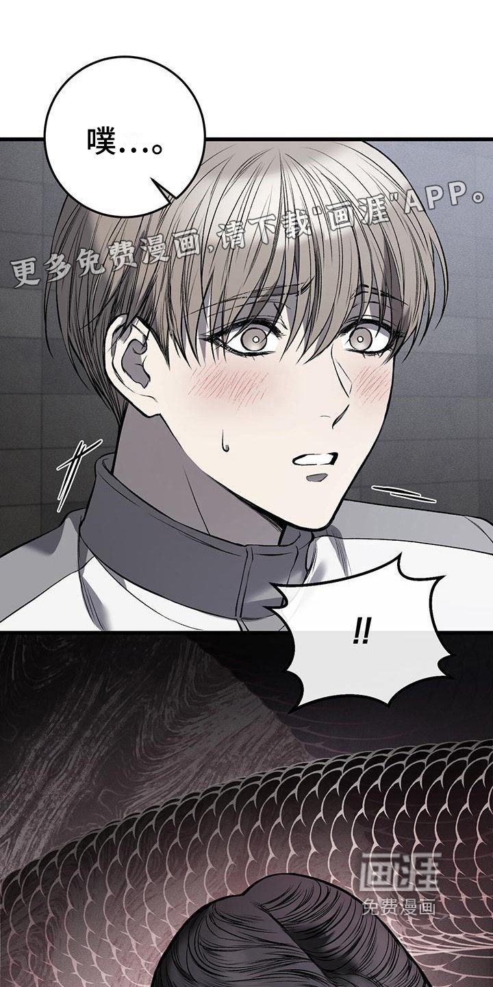 第10章：提议