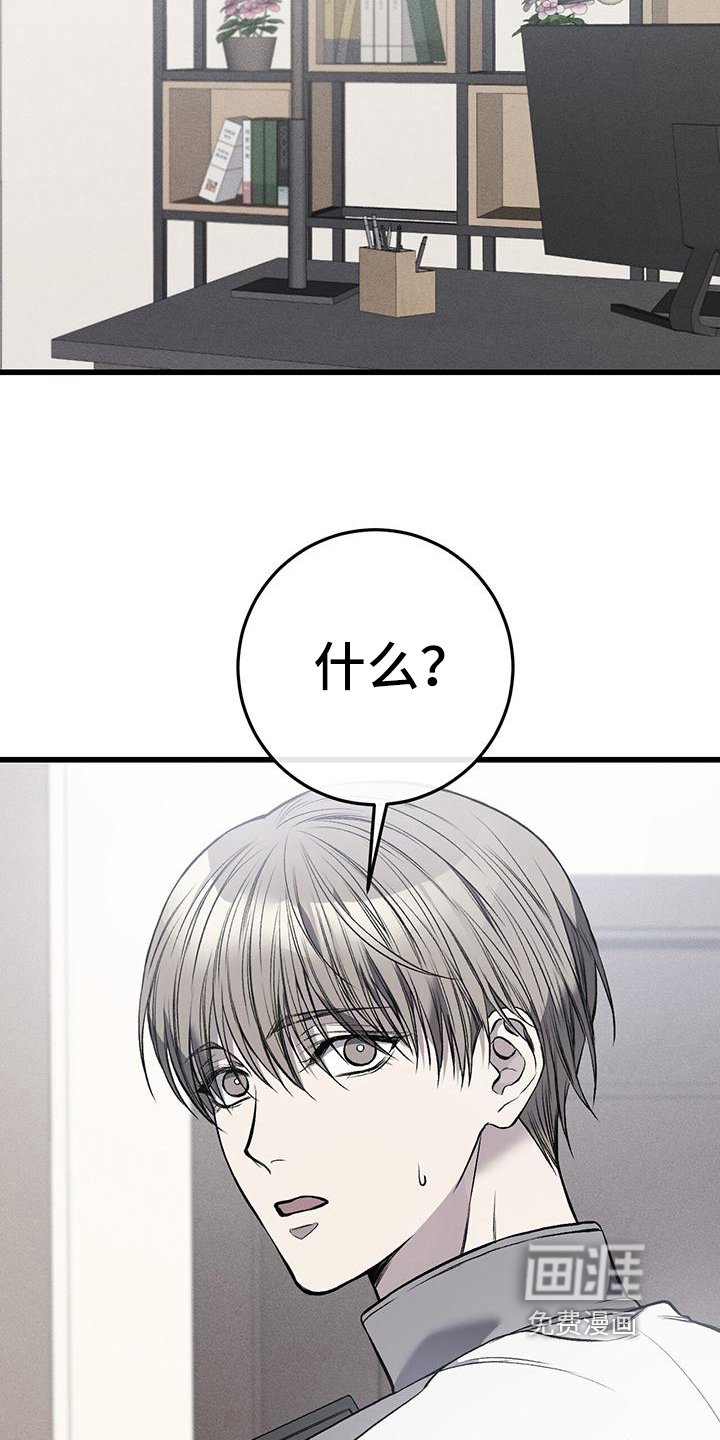 第16章：猜测