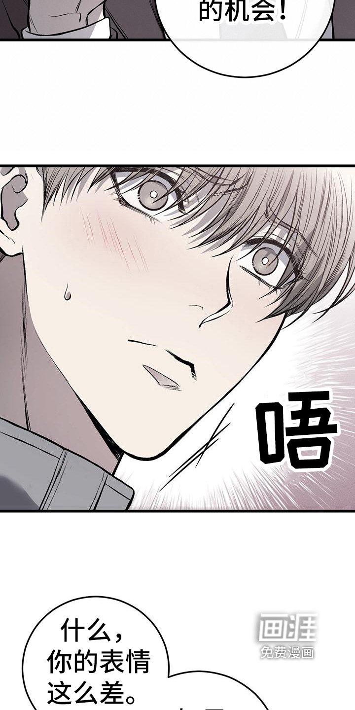 第17章：机会