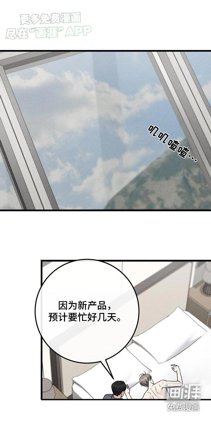 第48章：打算