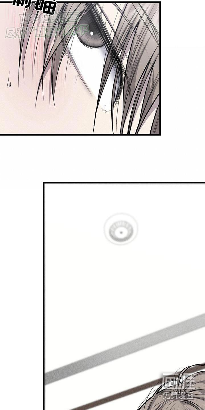 第48章：打算