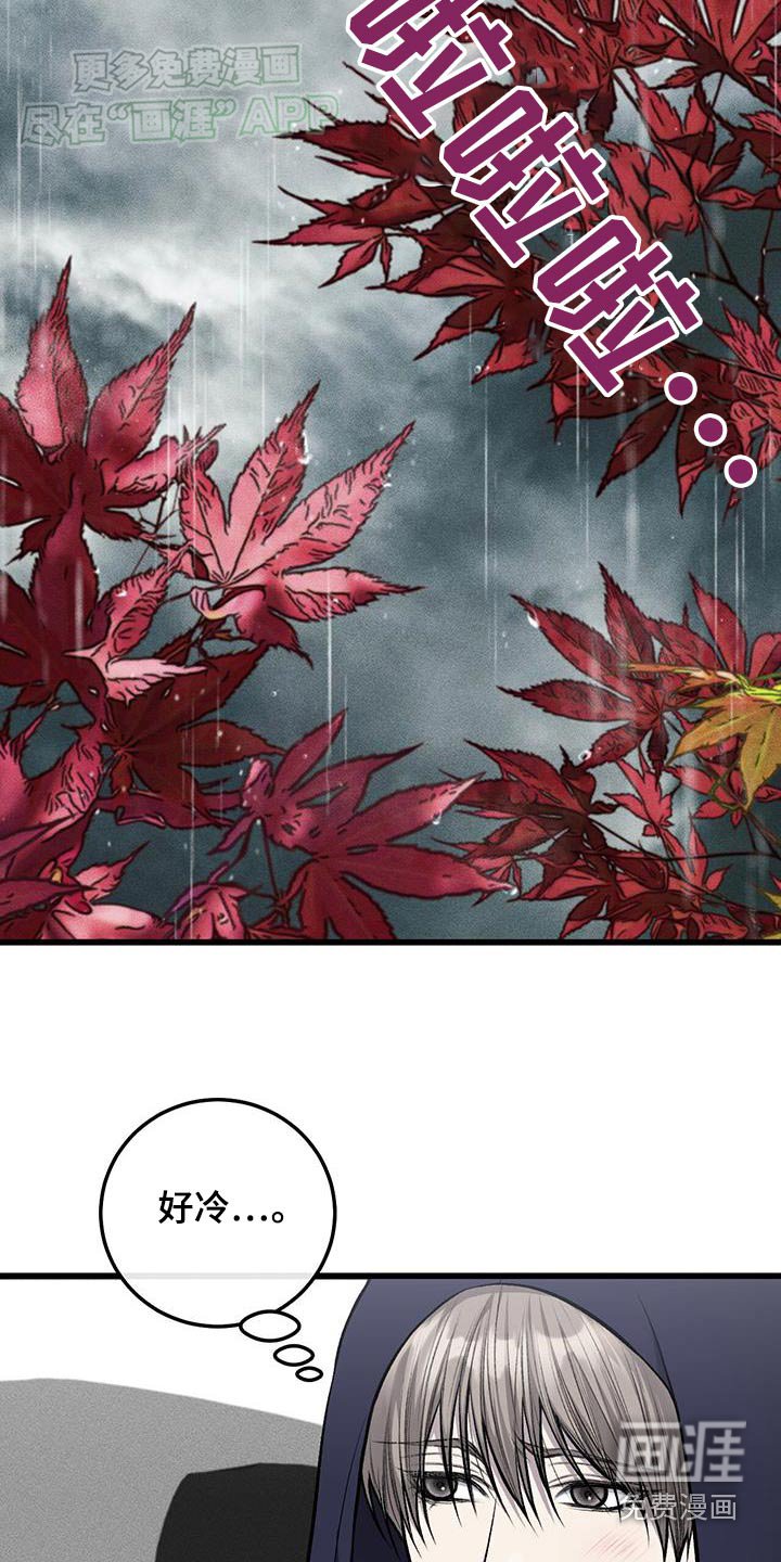 第48章：打算