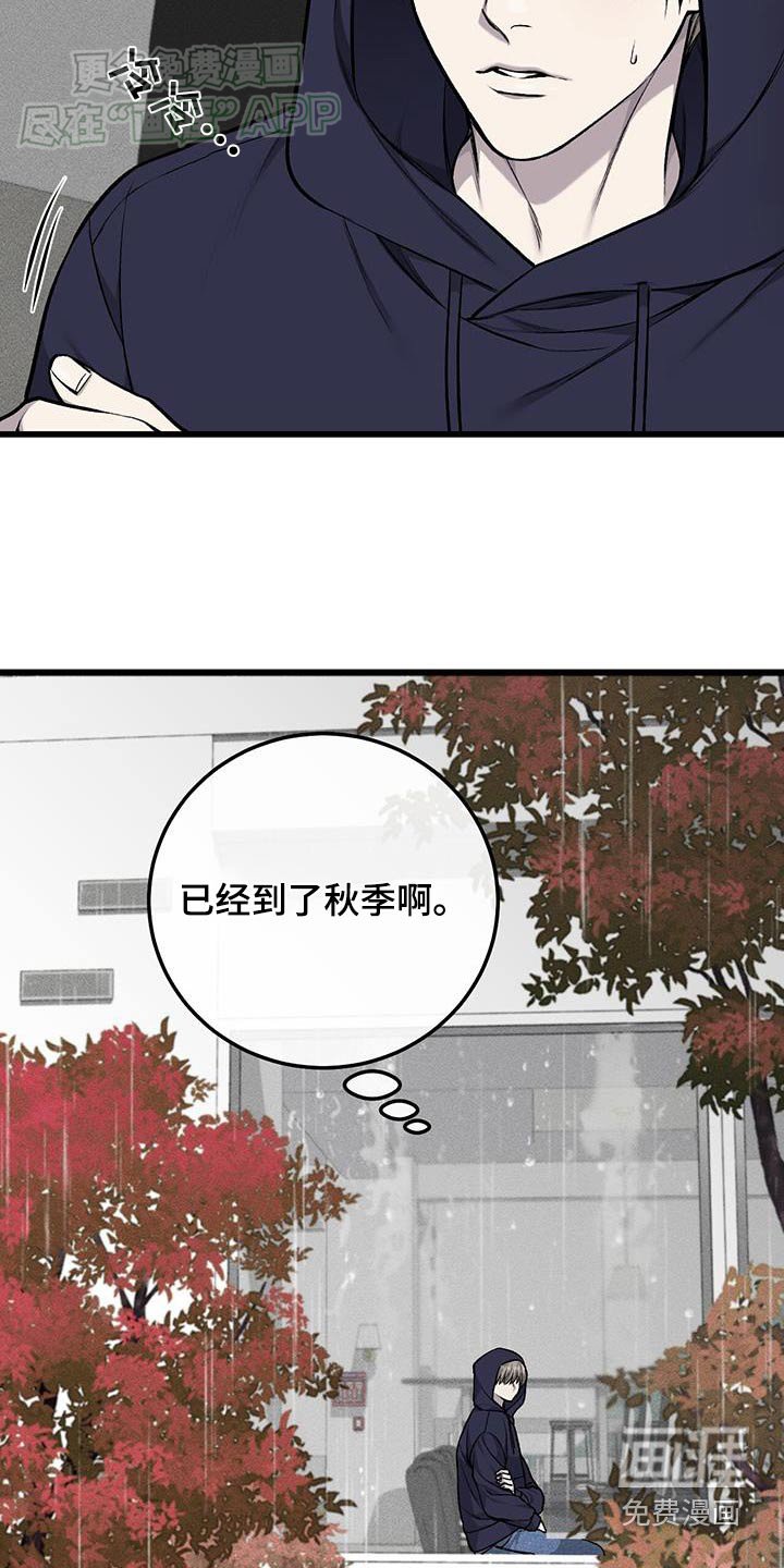 第48章：打算