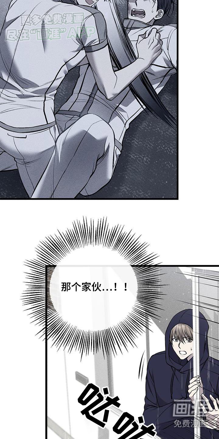 第48章：打算