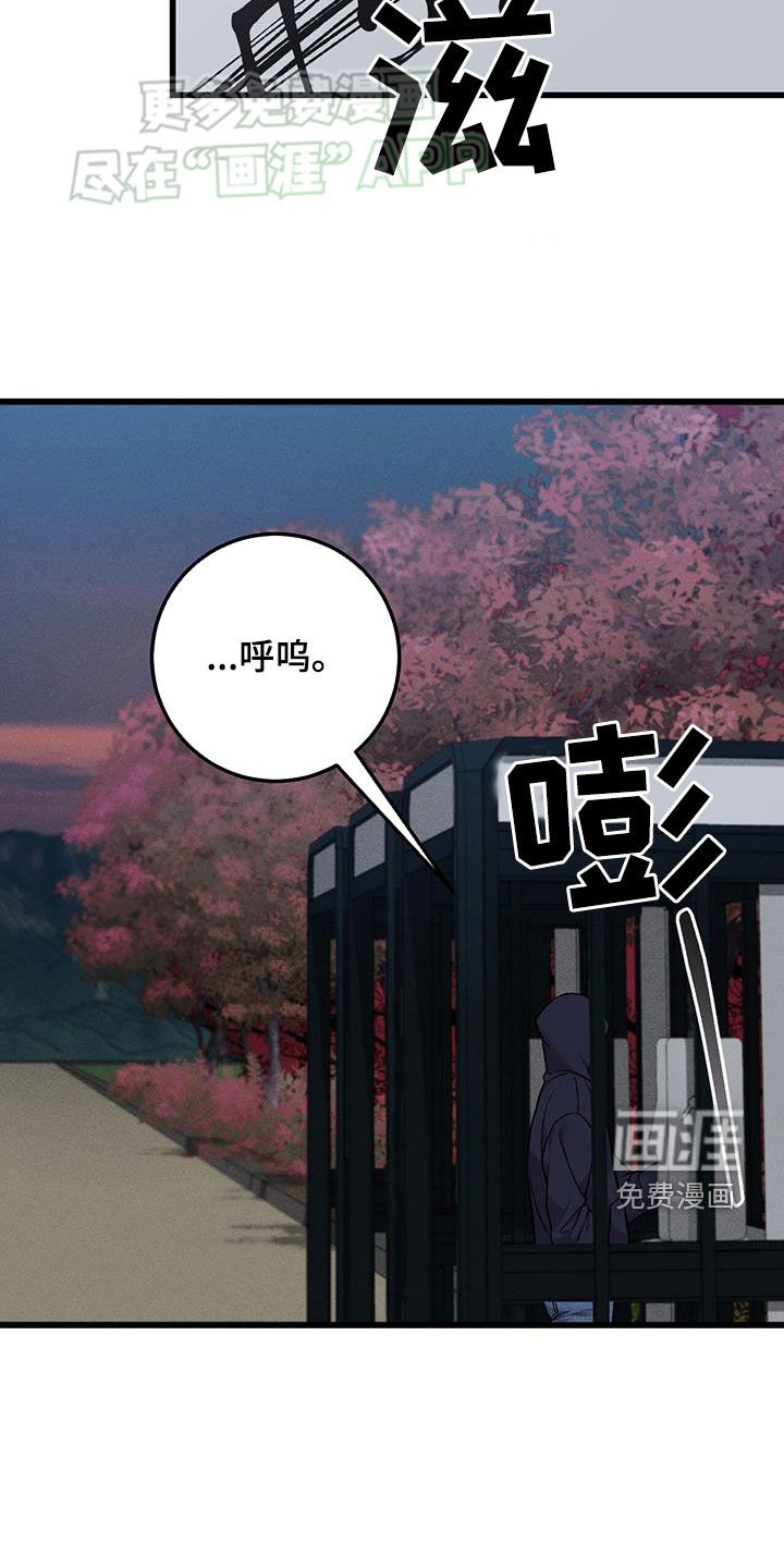 第50章：并不是幻觉