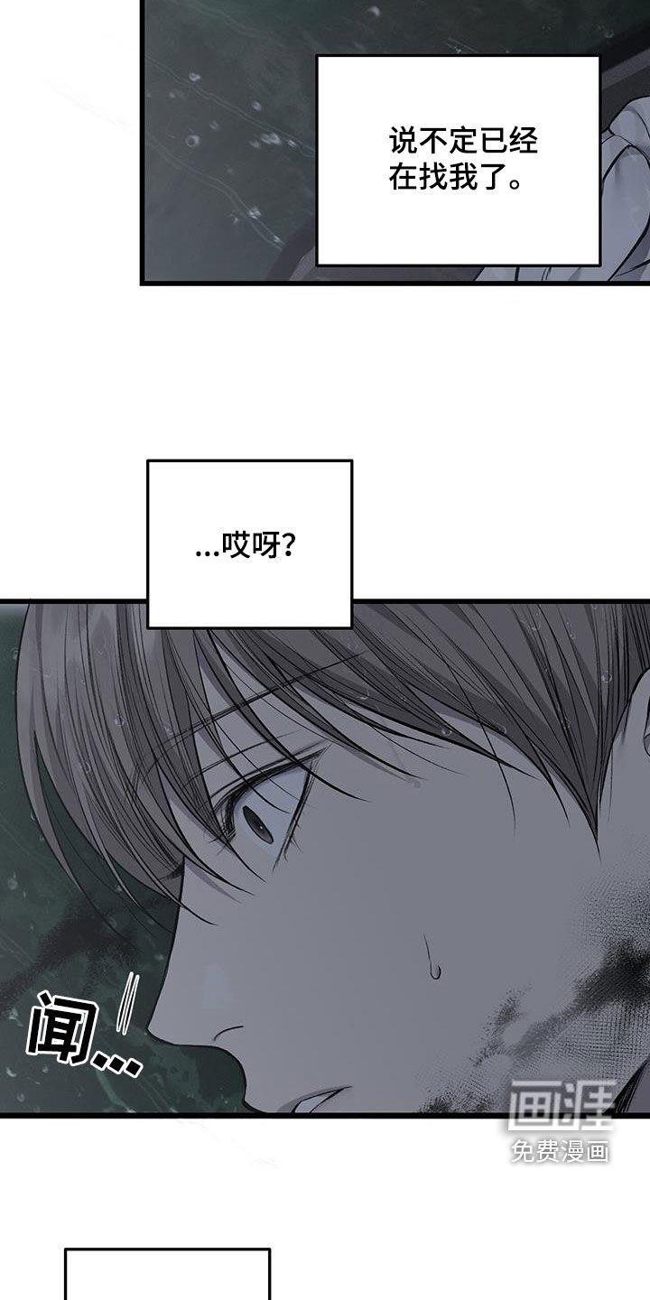 第71章：自由