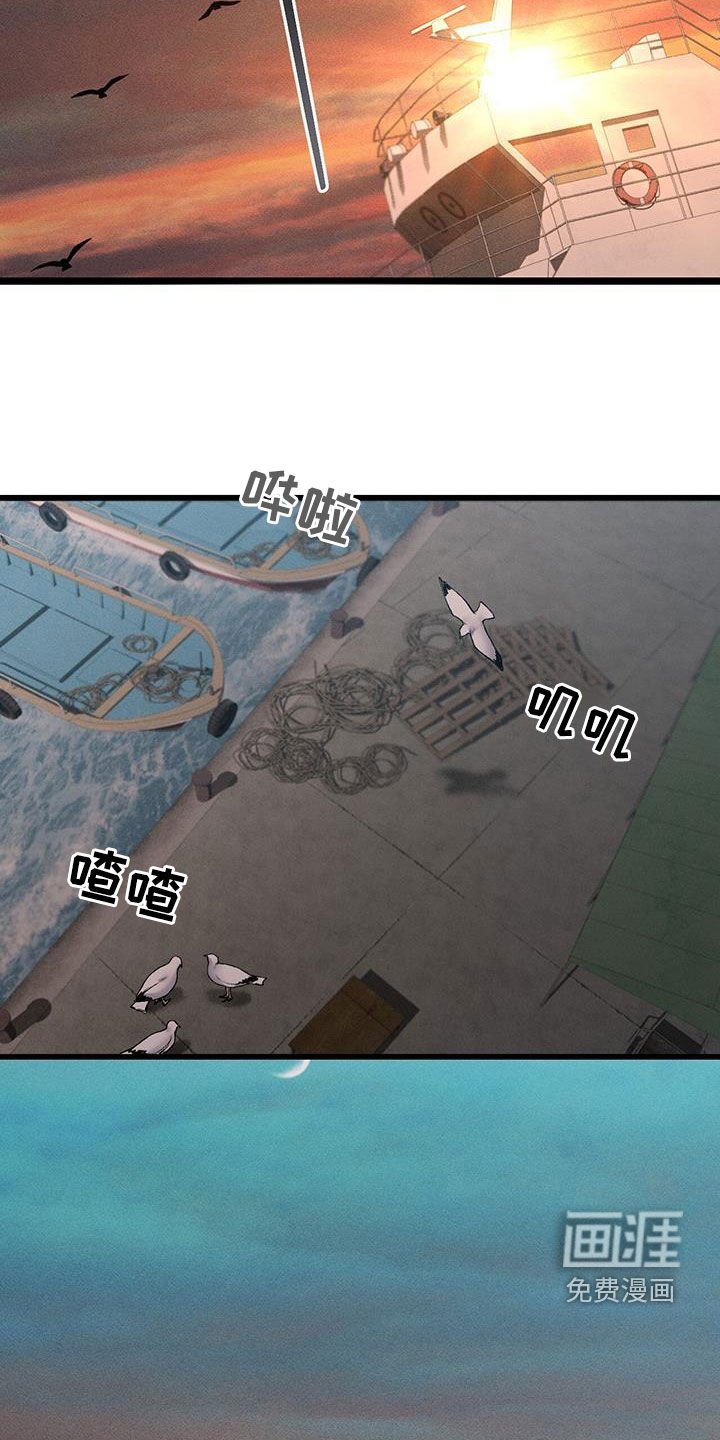 第71章：自由