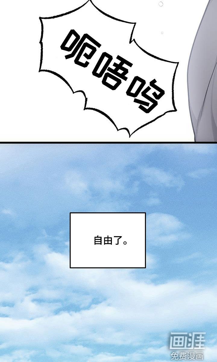 第71章：自由