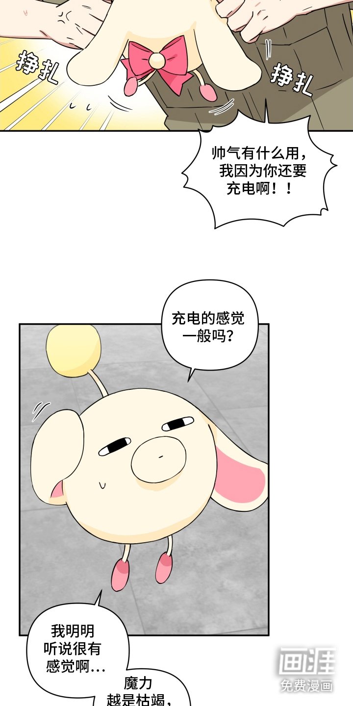第14章：志愿者
