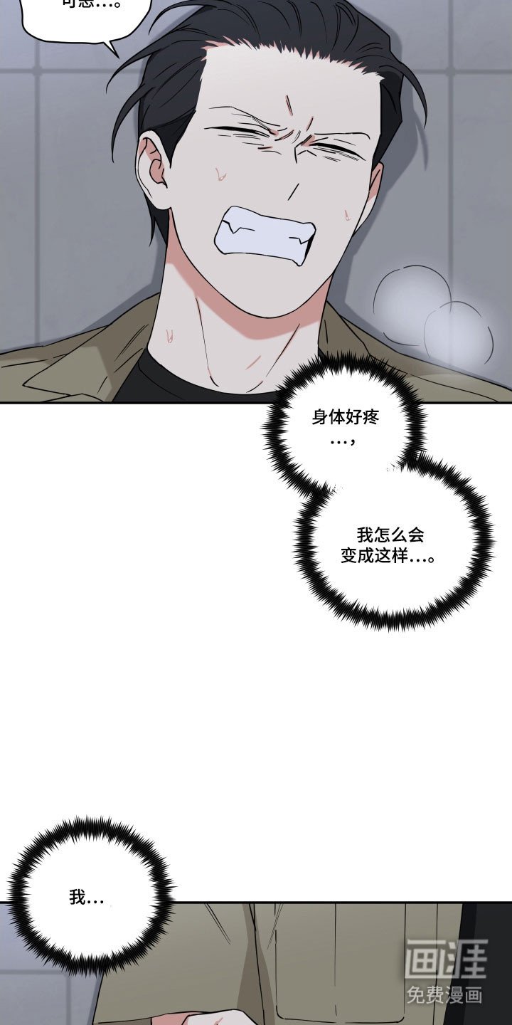 第16章：承受爱戴