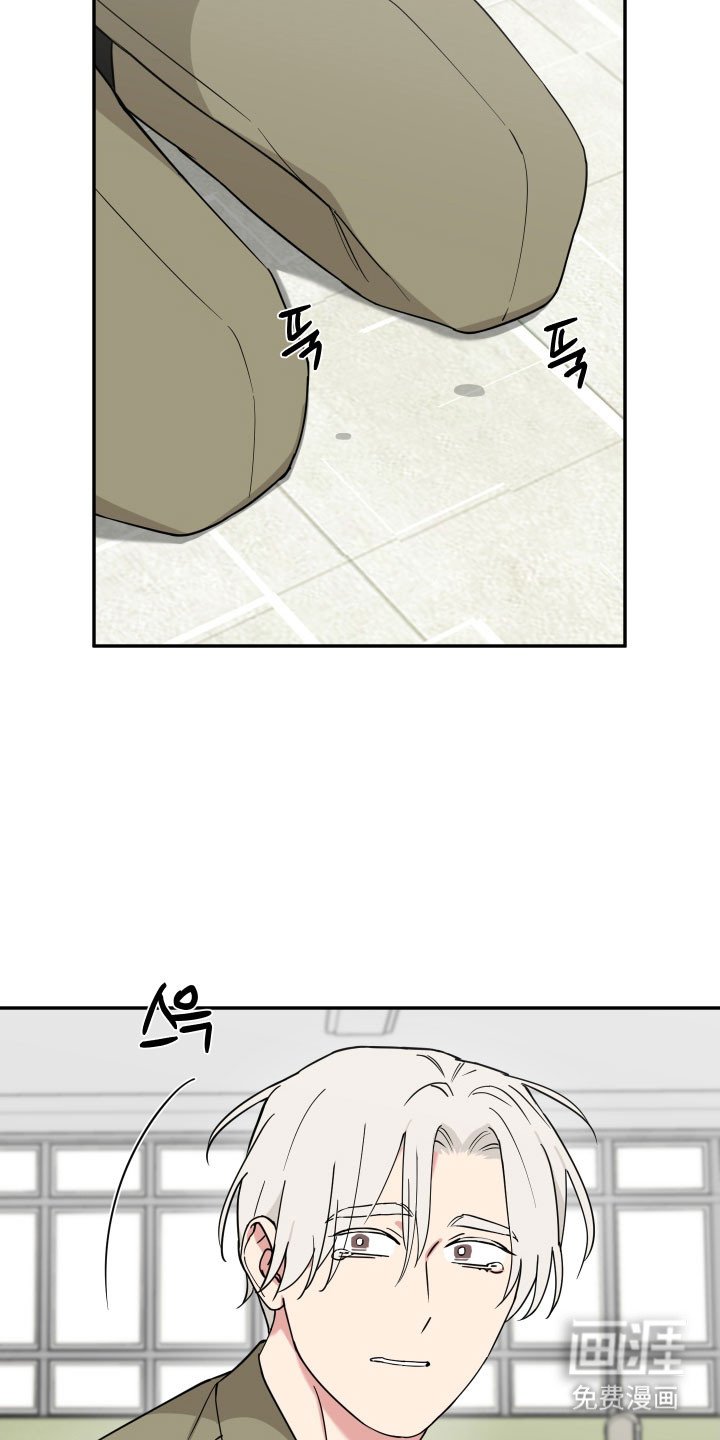 第19章：时机绝了