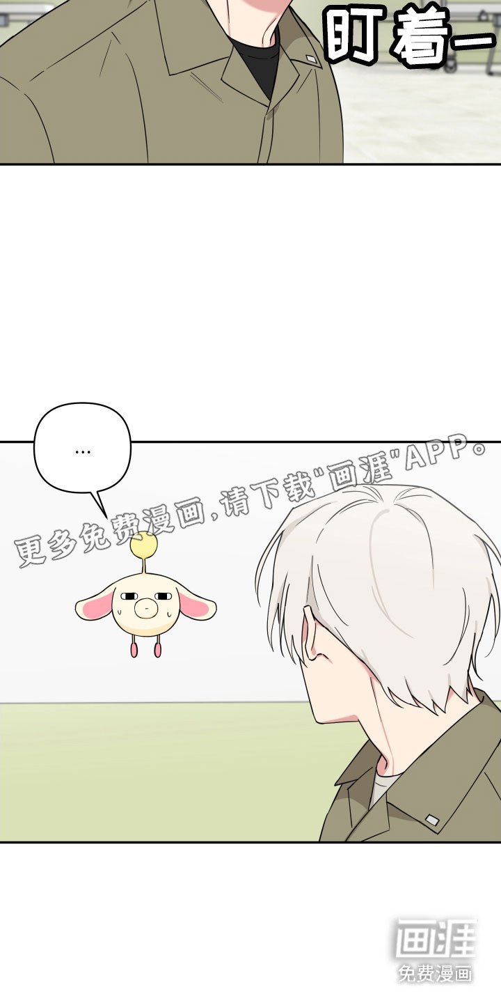 第19章：时机绝了