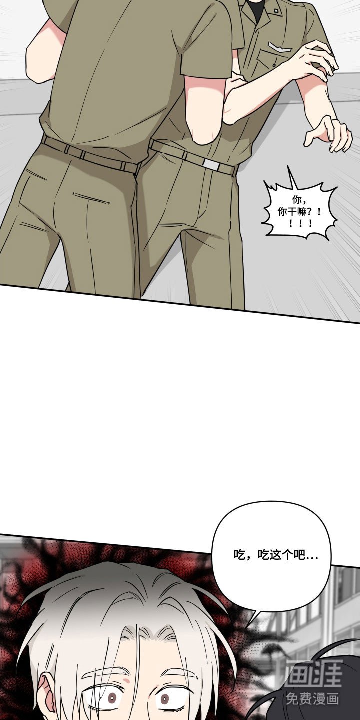 第19章：时机绝了
