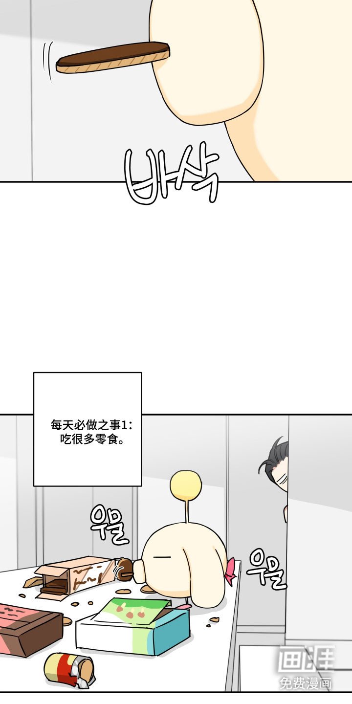 第27章：女子军队