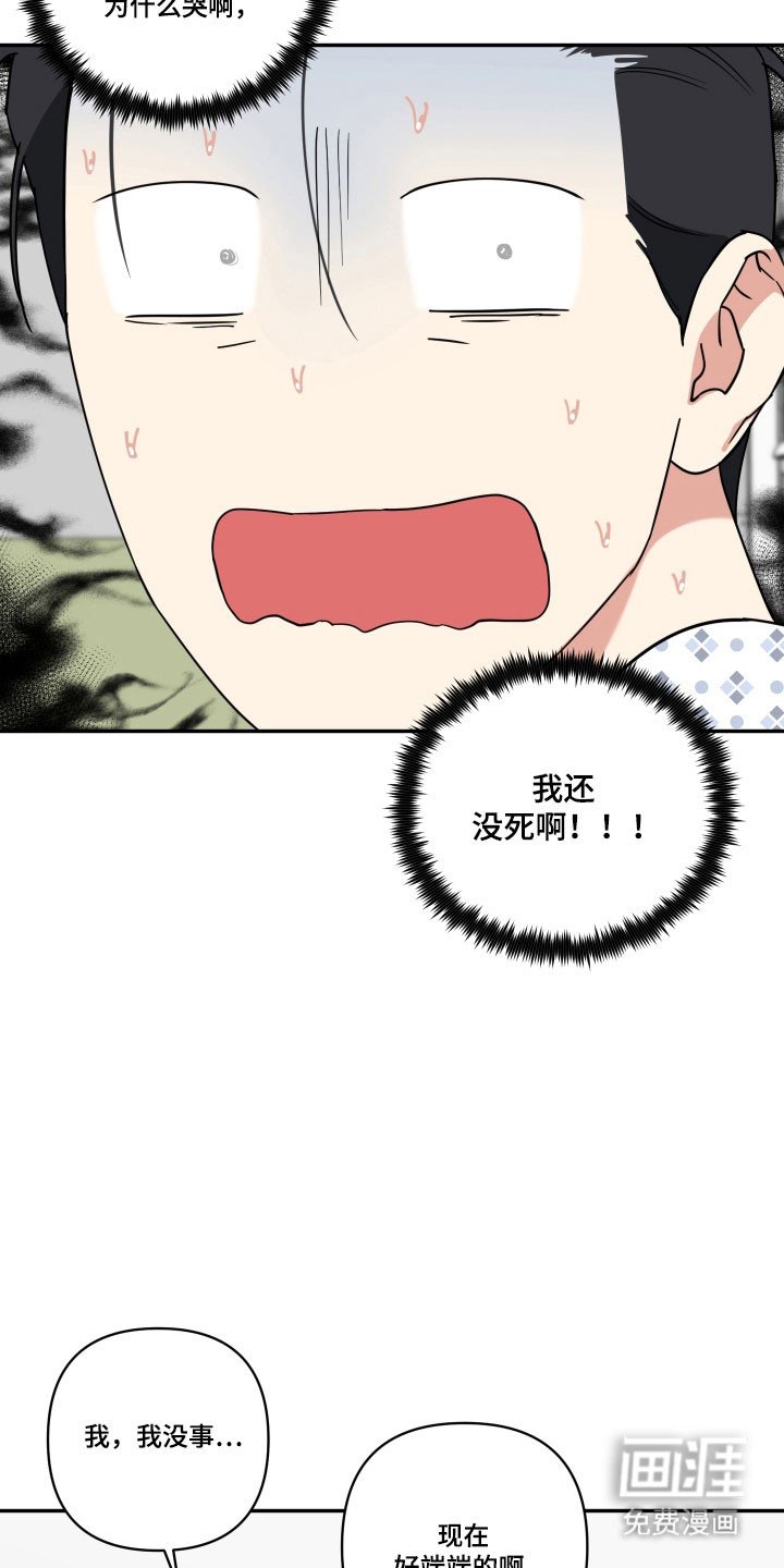 第31章：养狗感觉