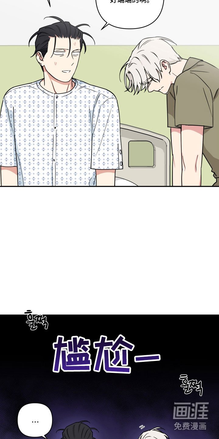 第31章：养狗感觉