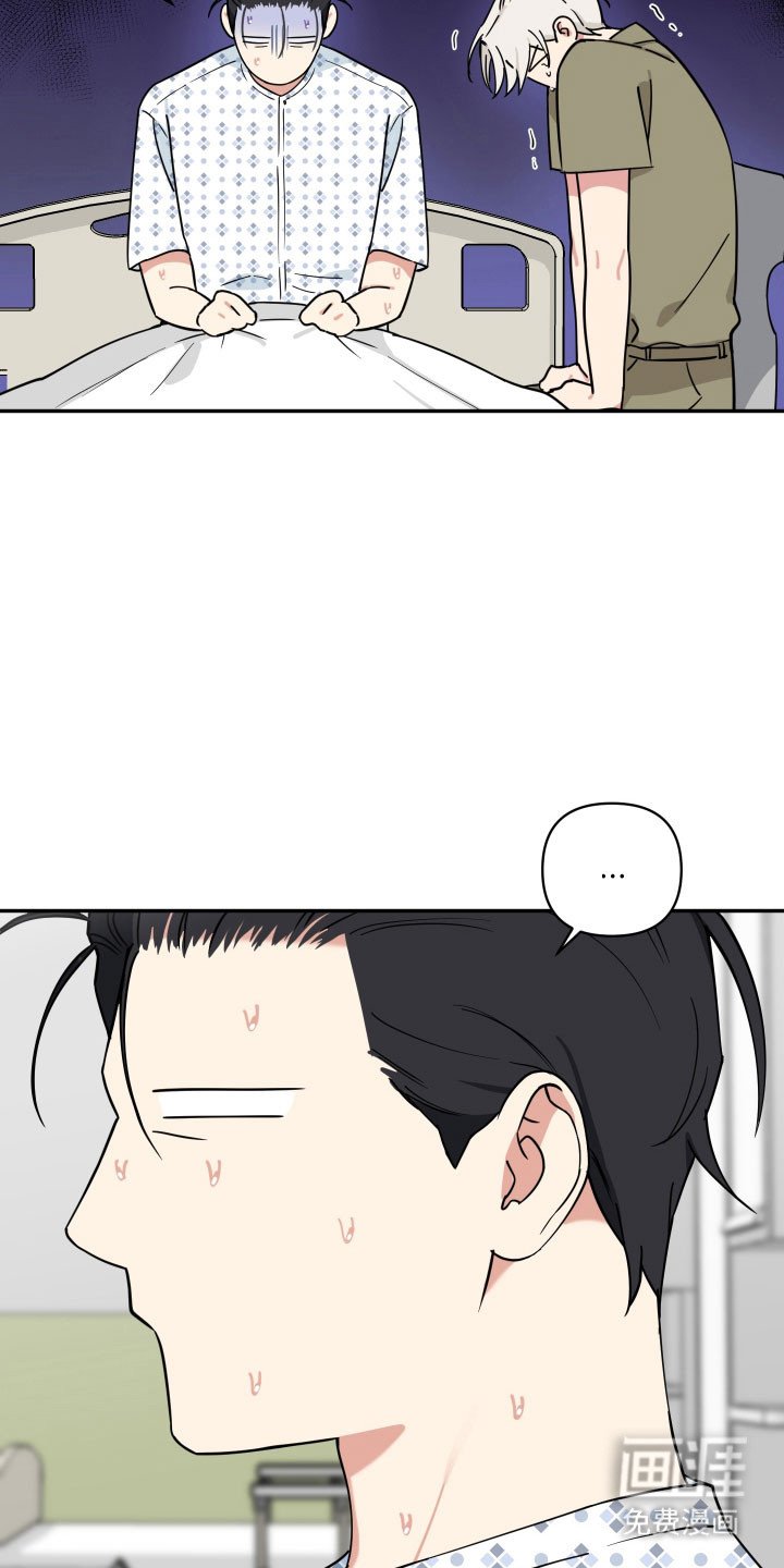 第31章：养狗感觉