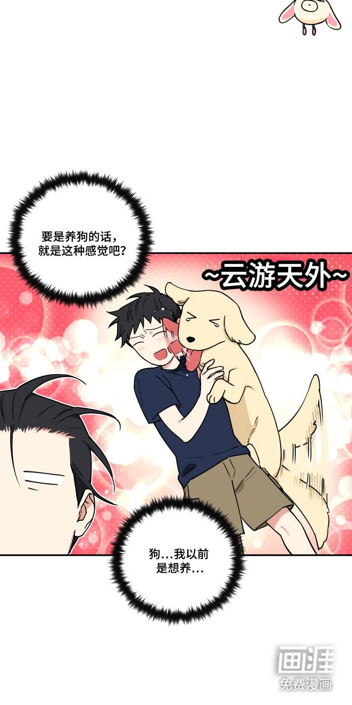 第31章：养狗感觉